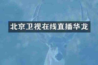 北京卫视在线直播华龙