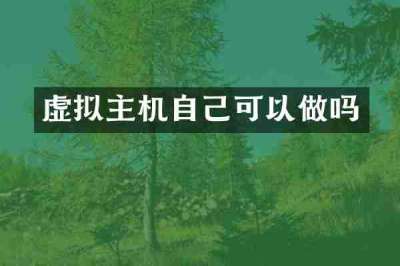 虚拟主机自己可以做吗