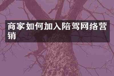 商家如何加入陪驾网络营销