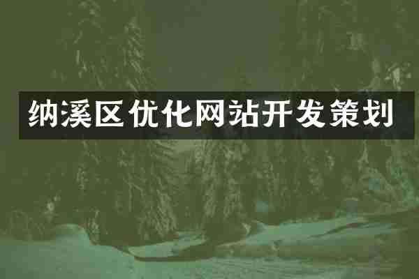 纳溪区优化网站开发策划