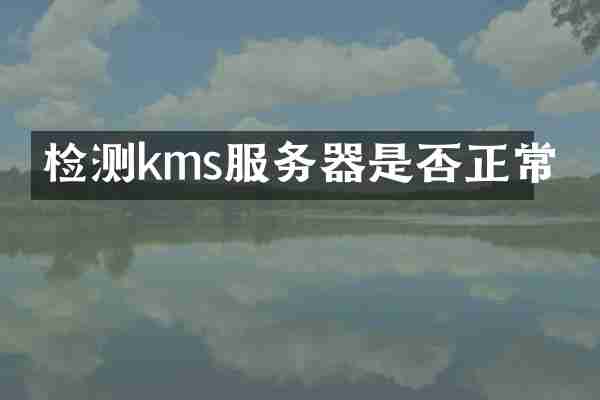 检测kms服务器是否正常