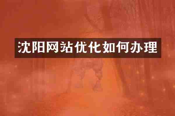 沈阳网站优化如何办理