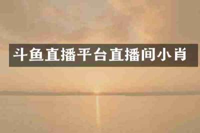 斗鱼直播平台直播间小肖
