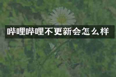 哔哩哔哩不更新会怎么样