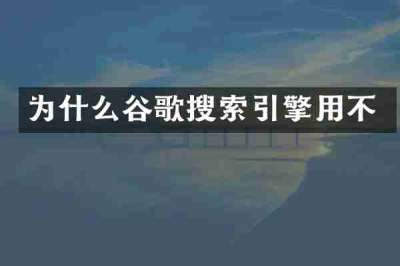 为什么谷歌搜索引擎用不