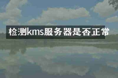 检测kms服务器是否正常