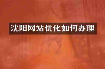 沈阳网站优化如何办理