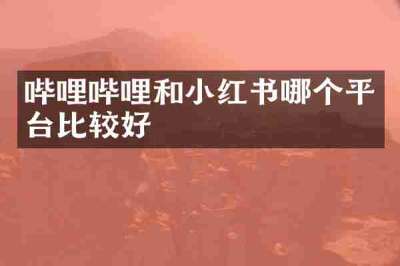 哔哩哔哩和小红书哪个平台比较好