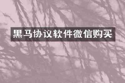 黑马协议软件微信购买