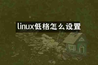 linux低格怎么设置