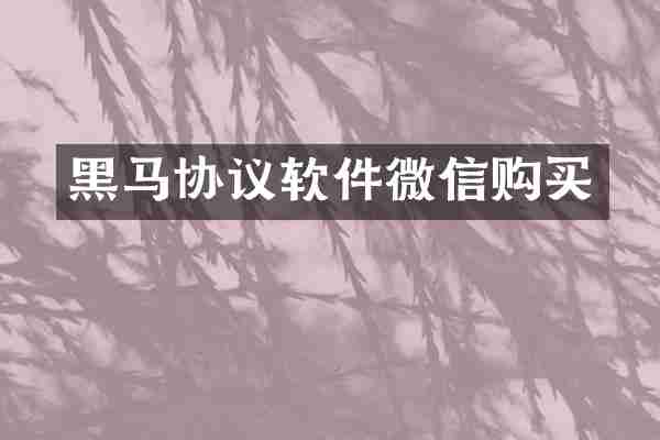 黑马协议软件微信购买