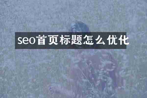 seo首页标题怎么优化