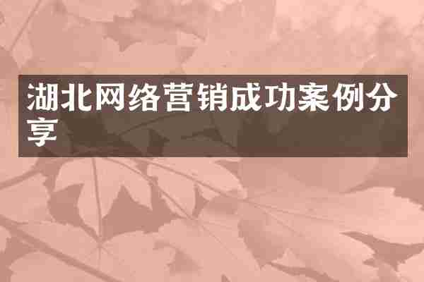 湖北网络营销成功案例分享