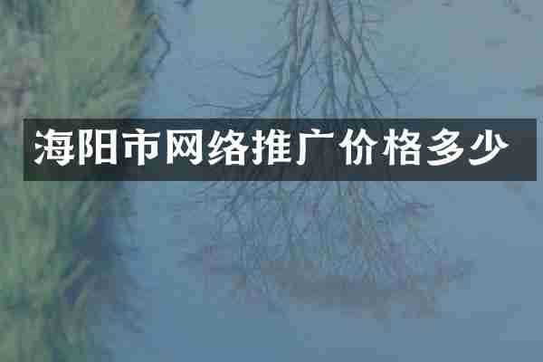 海阳市网络推广价格多少