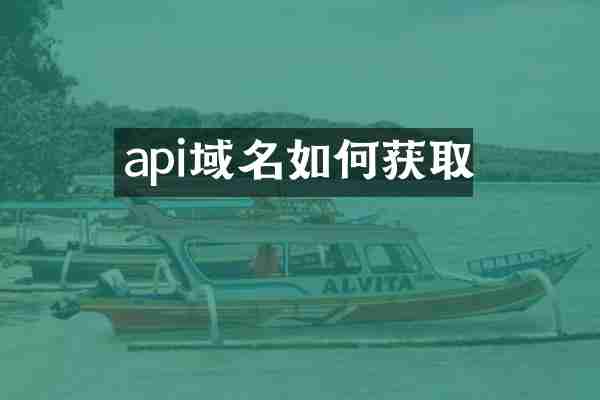 api域名如何获取