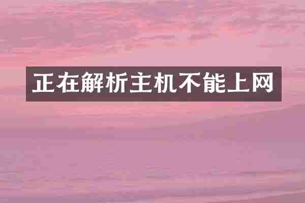 正在解析主机不能上网