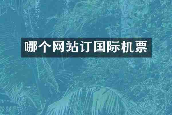 哪个网站订国际机票
