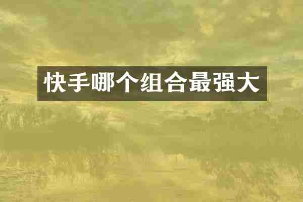 快手哪个组合最强大