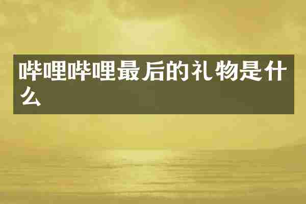 哔哩哔哩最后的礼物是什么