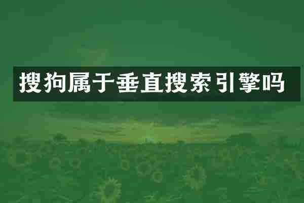 搜狗属于垂直搜索引擎吗