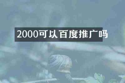 2000可以百度推广吗