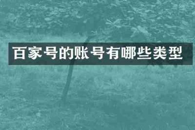 百家号的账号有哪些类型