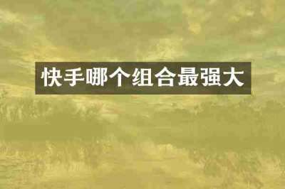 快手哪个组合最强大