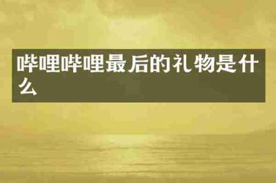 哔哩哔哩最后的礼物是什么
