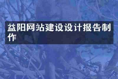 益阳网站建设设计报告制作