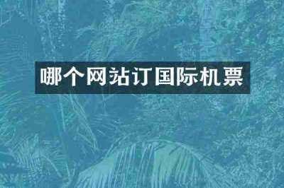哪个网站订国际机票