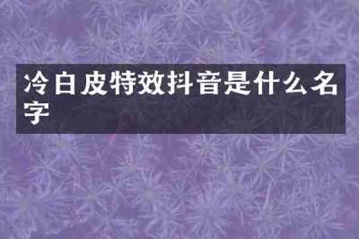 冷白皮特效抖音是什么名字