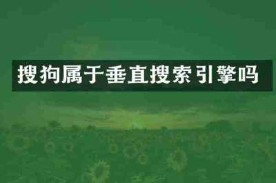 搜狗属于垂直搜索引擎吗