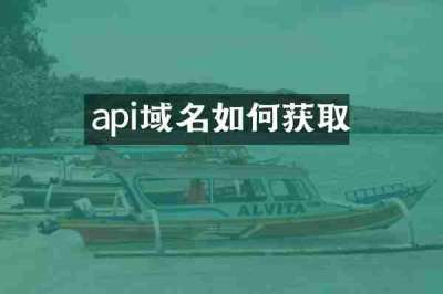 api域名如何获取