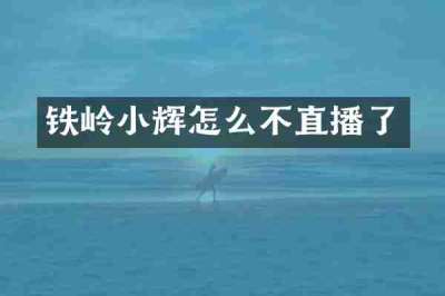 铁岭小辉怎么不直播了