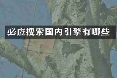 必应搜索国内引擎有哪些