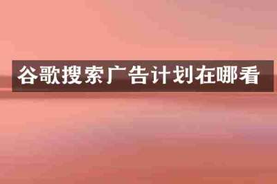 谷歌搜索广告计划在哪看