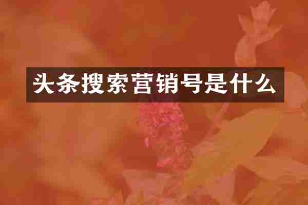 头条搜索营销号是什么