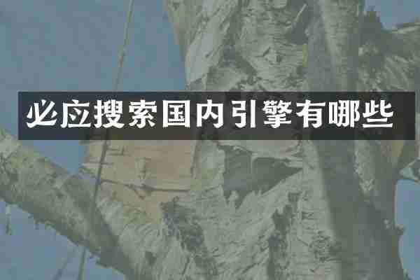 必应搜索国内引擎有哪些