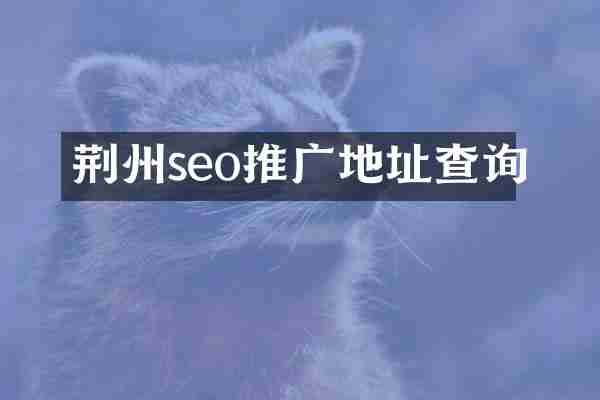 荆州seo推广地址查询