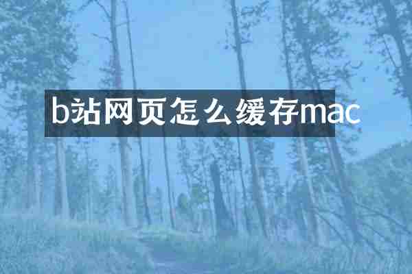 b站网页怎么缓存mac