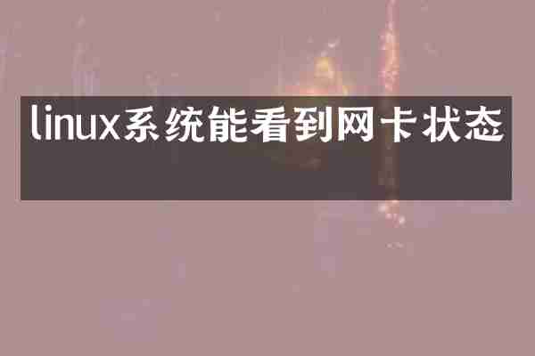 linux系统能看到网卡状态吗