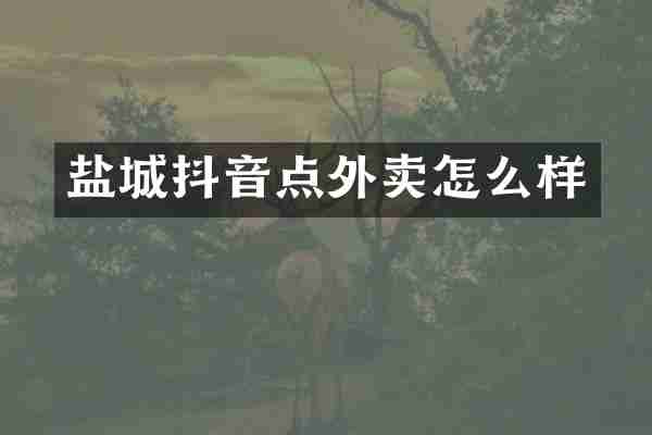 盐城抖音点外卖怎么样