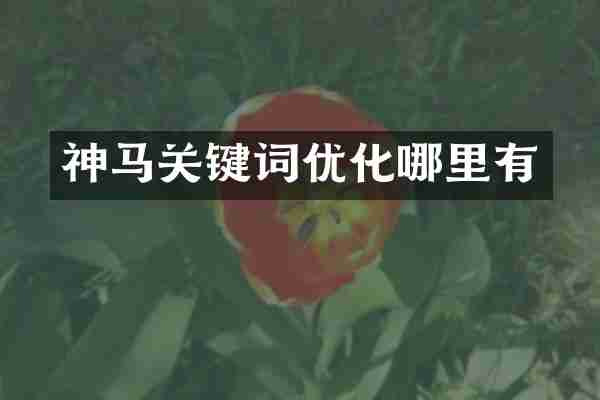 神马关键词优化哪里有