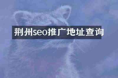 荆州seo推广地址查询