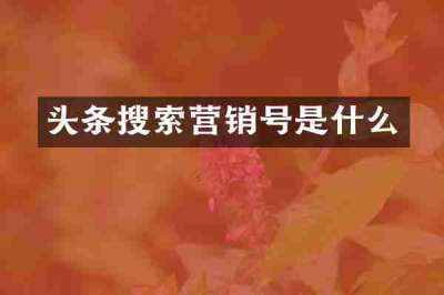 头条搜索营销号是什么