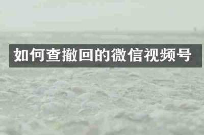 如何查撤回的微信视频号