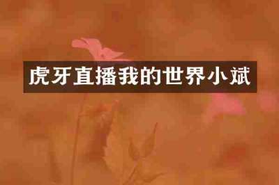 虎牙直播我的世界小斌