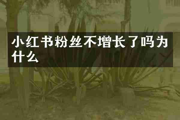 小红书粉丝不增长了吗为什么