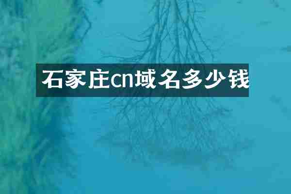 石家庄cn域名多少钱