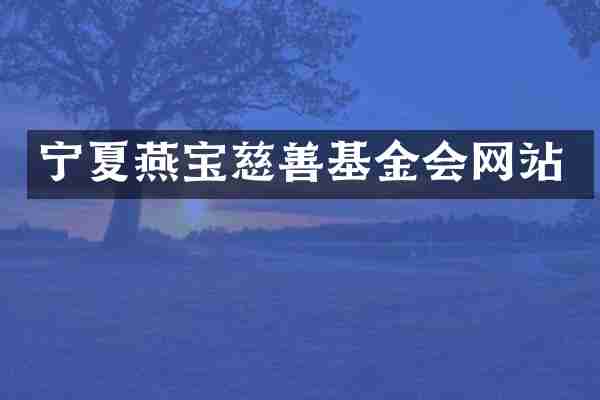 宁夏燕宝慈善基金会网站